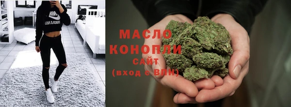 гашик Заречный