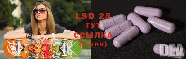 гашик Заречный