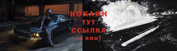 гашик Заречный