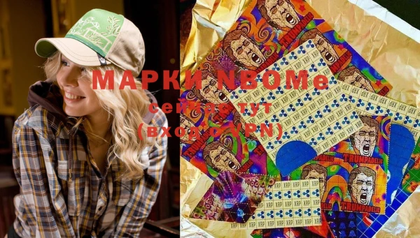 гашик Заречный
