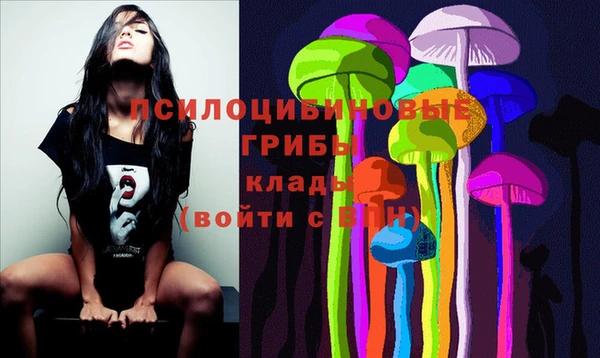 ECSTASY Заполярный
