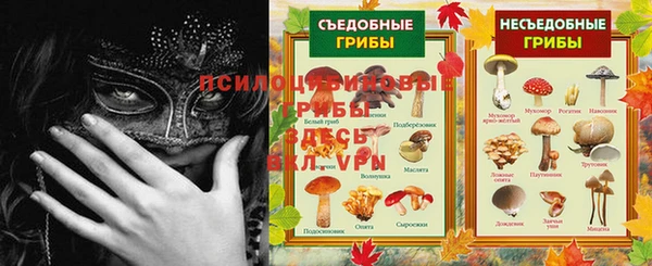 МДПВ Ивангород
