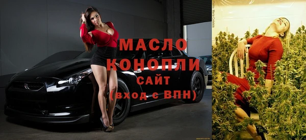 гашик Заречный