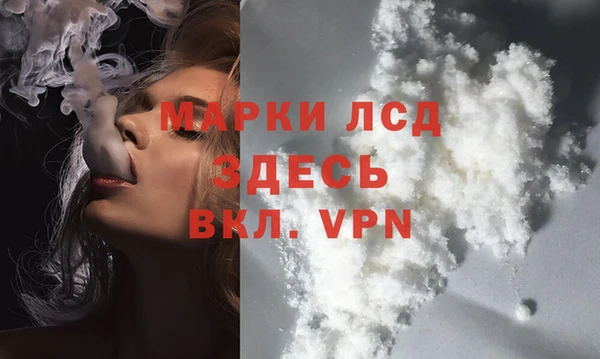 гашик Заречный