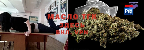 гашик Заречный