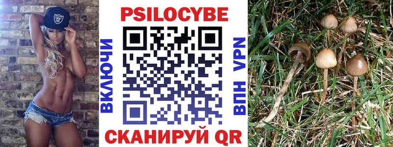 Псилоцибиновые грибы мухоморы Лыткарино